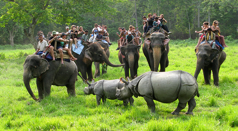 Sauraha,Chitwan 