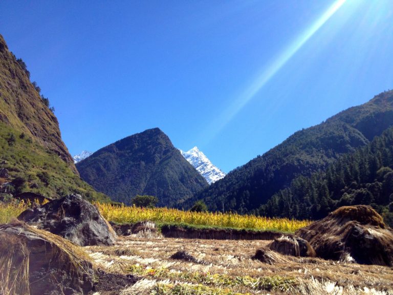 chum valley