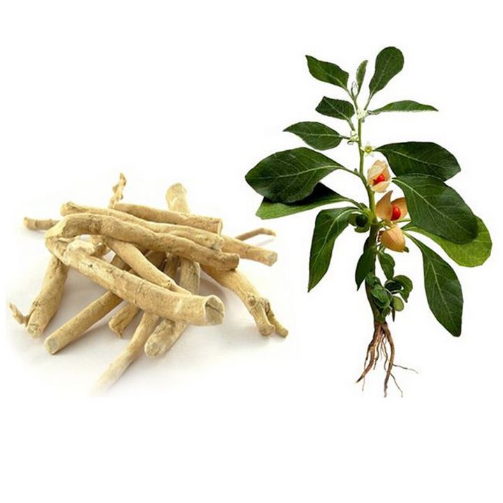 Ashwagandha : Ayurvedic Remedies