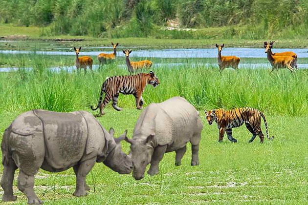 Bardiya National Park :Nepal