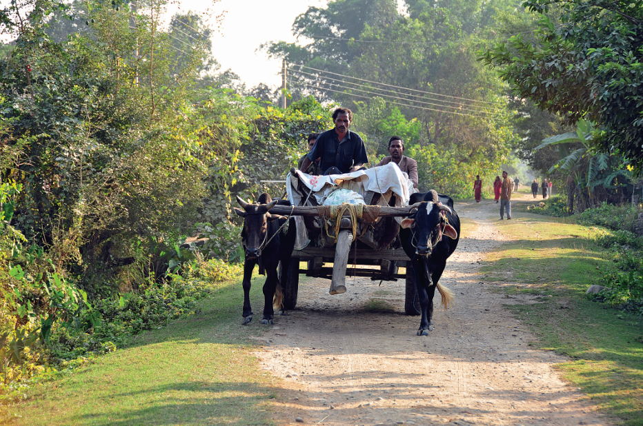 Bhada : Home Stay In Nepal