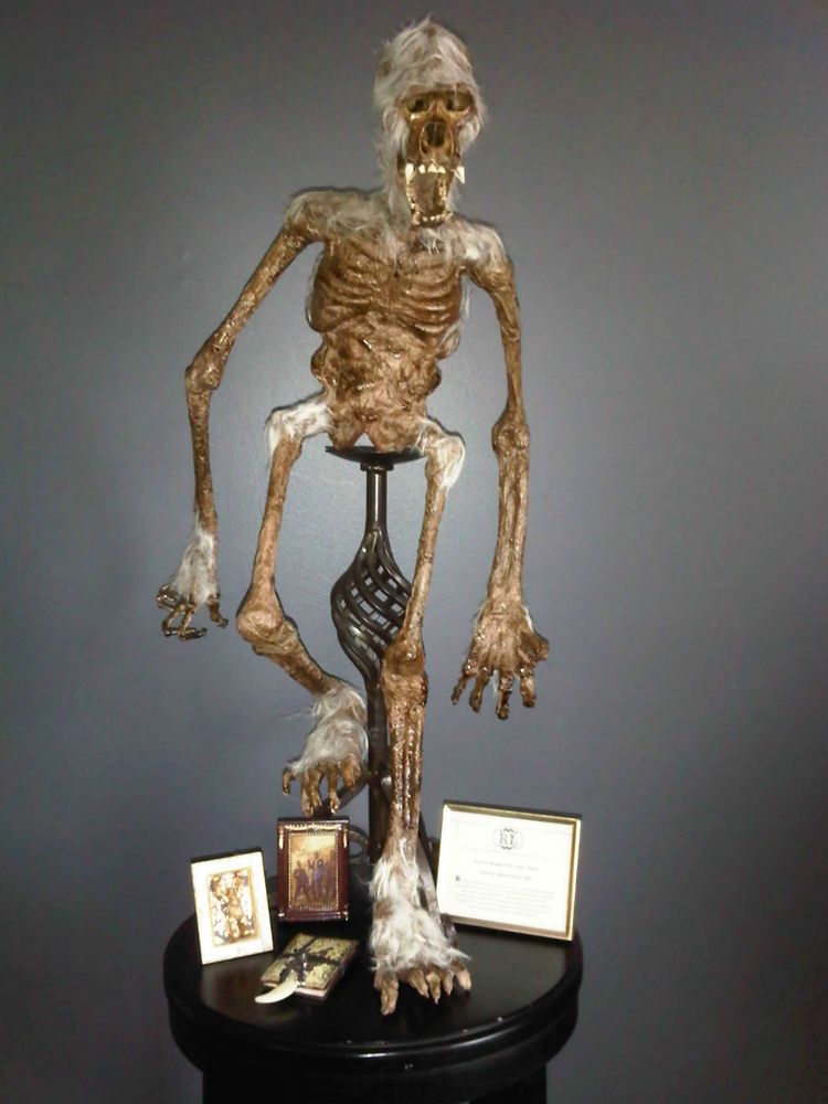 The Skeletal of Yeti