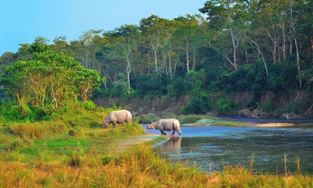 Sauraha : Places to visit in Nepal