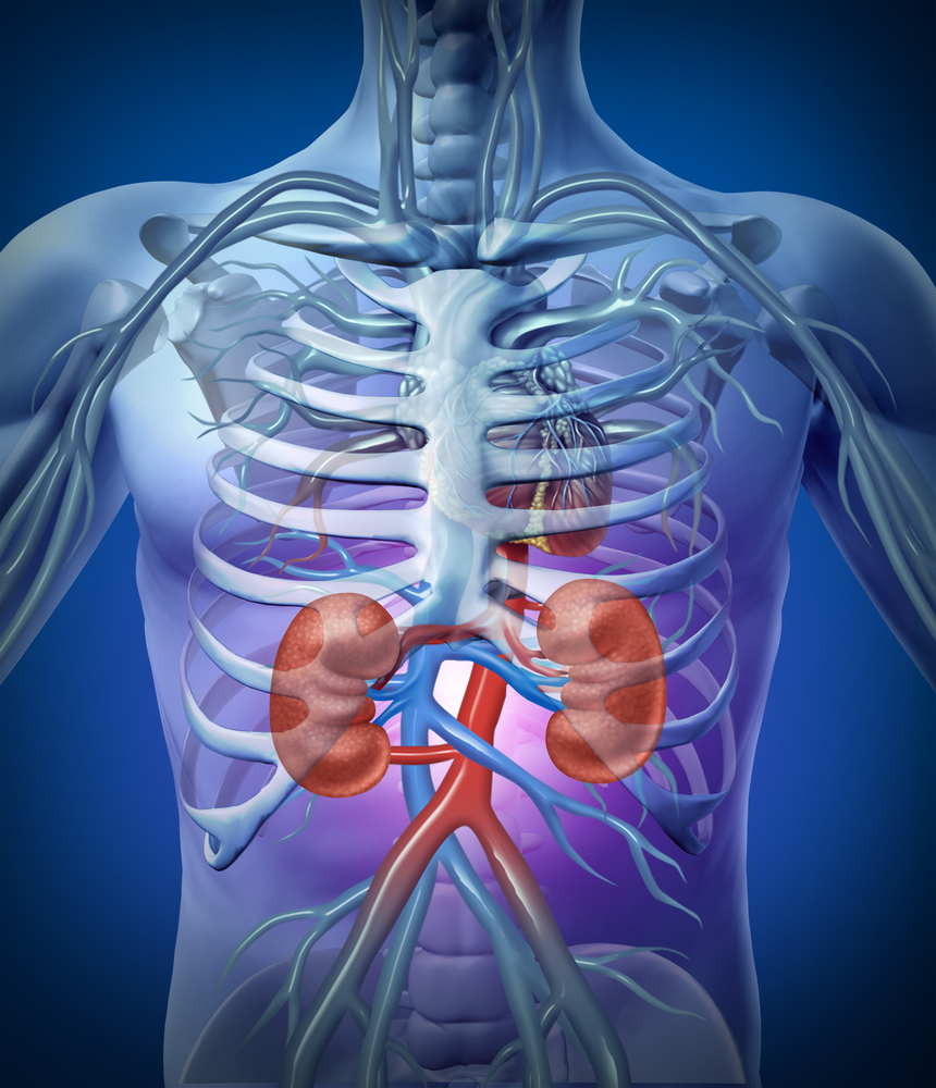 Kidney Disease