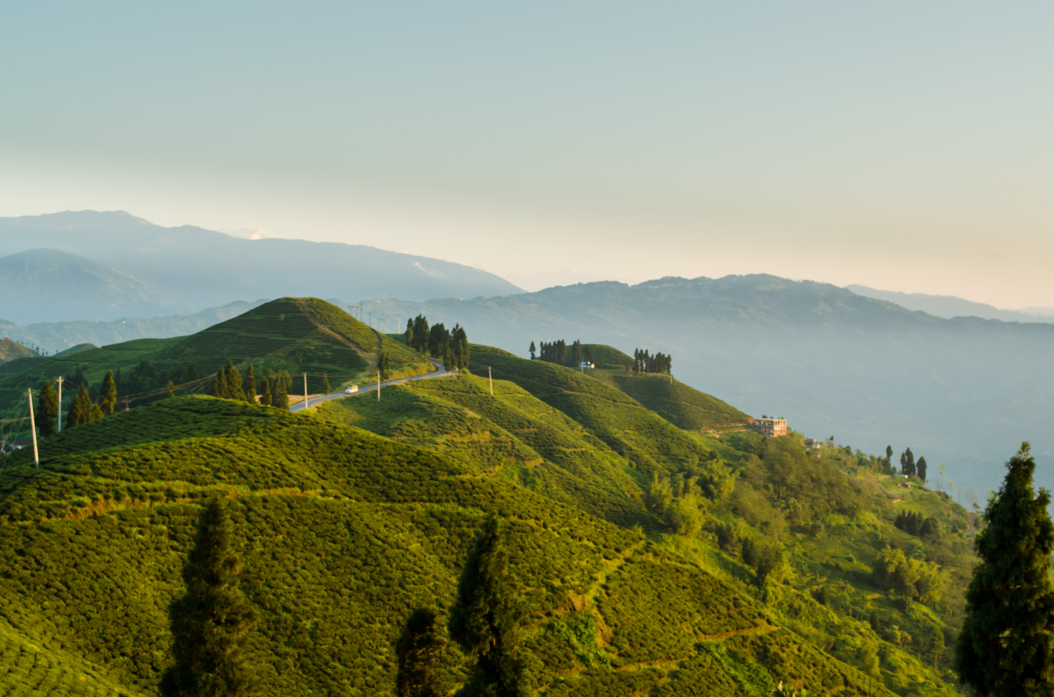 Illam: Places to visit in Nepal