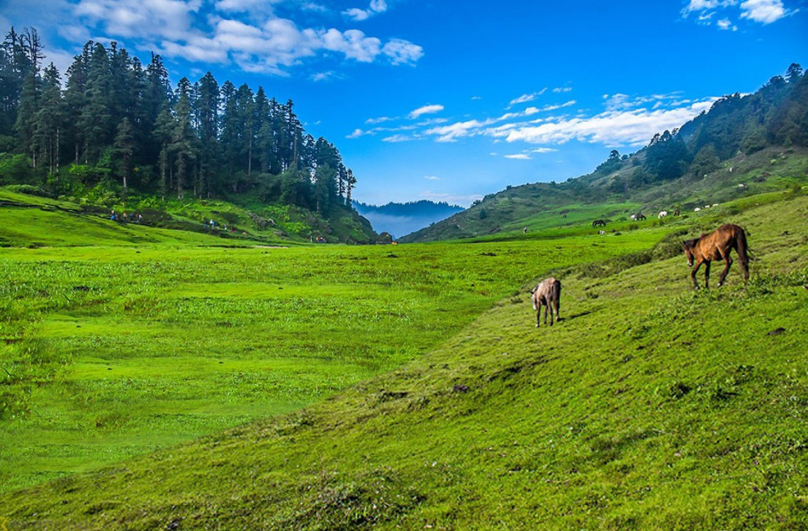 Visit Nepal Khaptad 