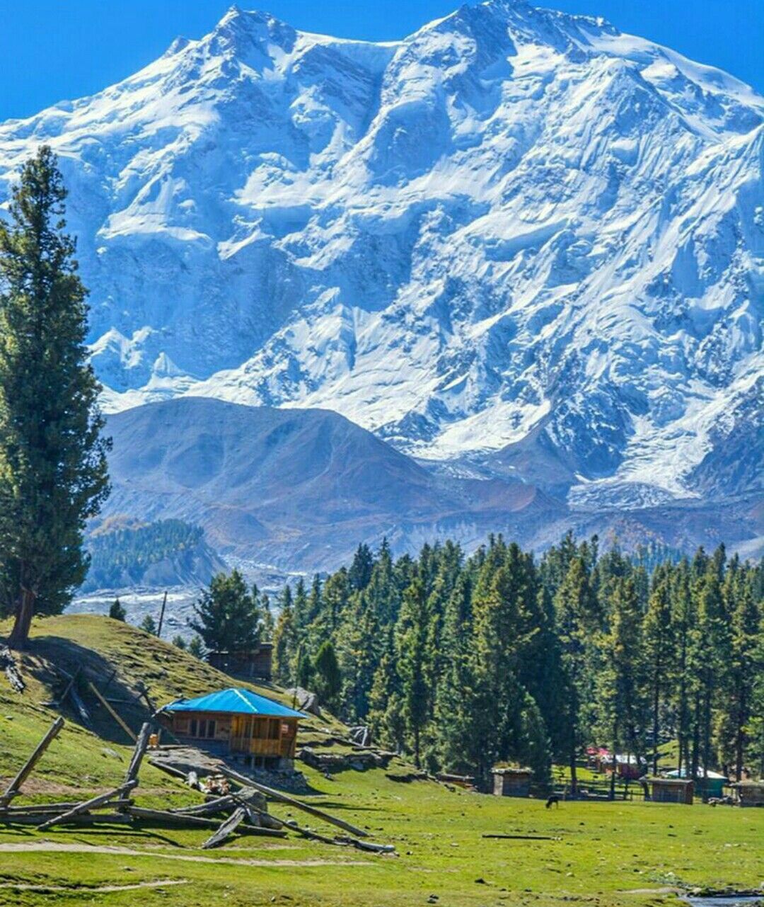 Nanga Parbat 