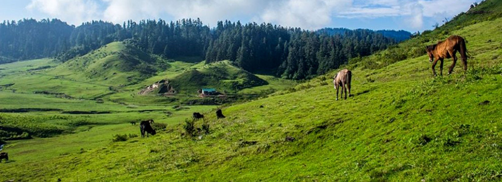 Khaptad