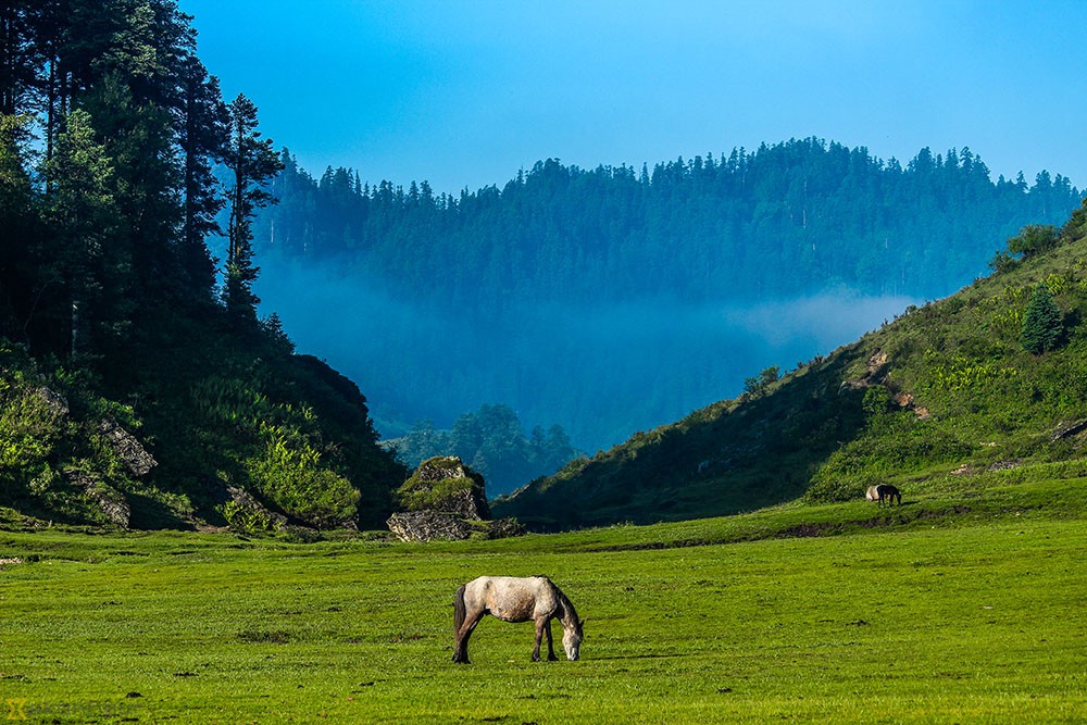 west of nepal