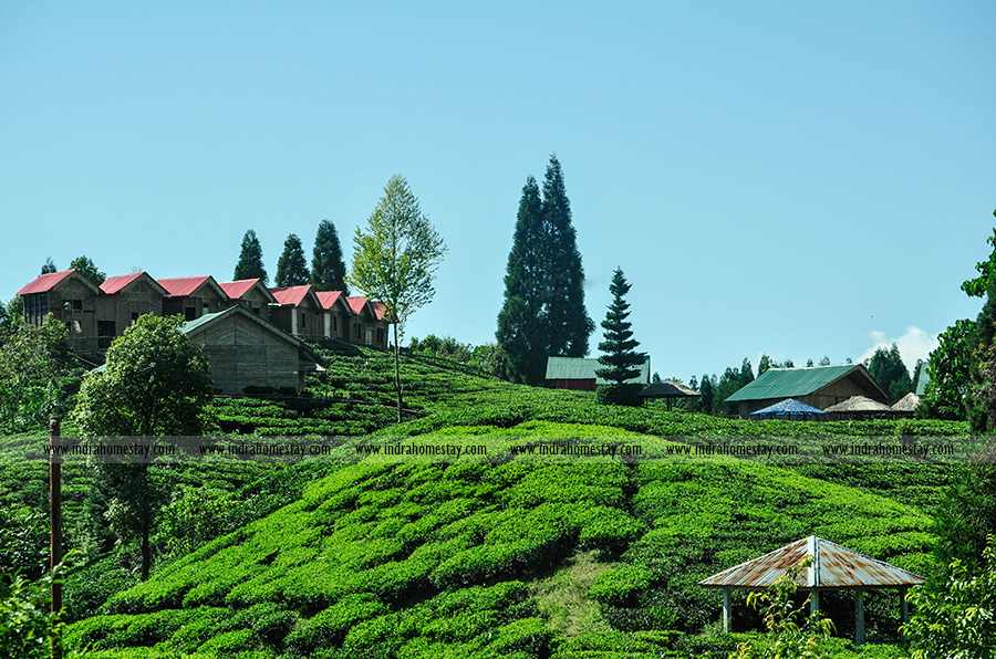 Homestay In Nepal